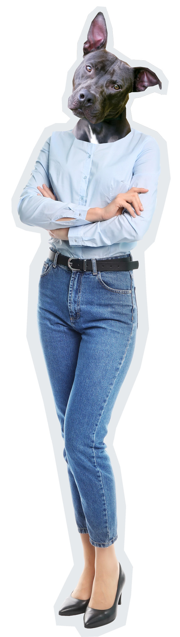 Immagine intera di una donna in camica e jeans con la testa di un pitbull